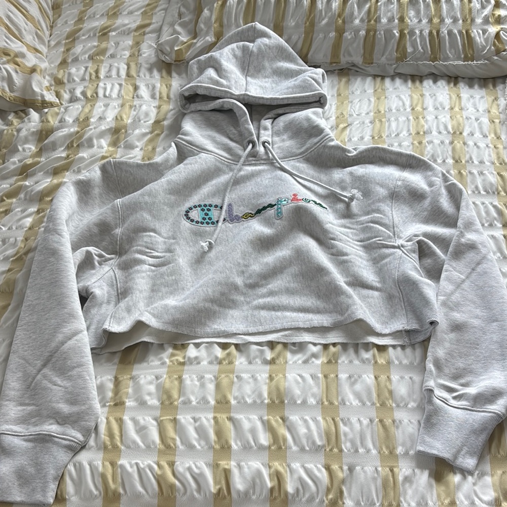 Champion Gray Women's cropped Hoodie